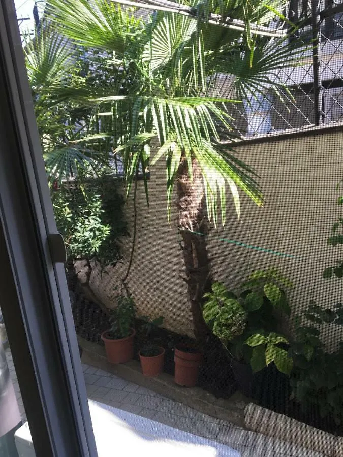 Apartamento 10 B Shindisi Street,Tiflis